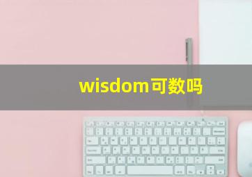 wisdom可数吗