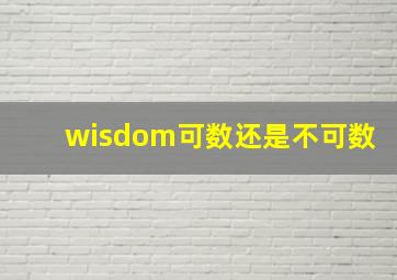 wisdom可数还是不可数