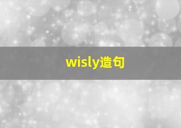 wisly造句