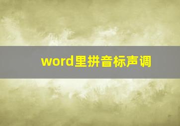 word里拼音标声调