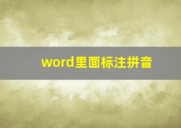 word里面标注拼音