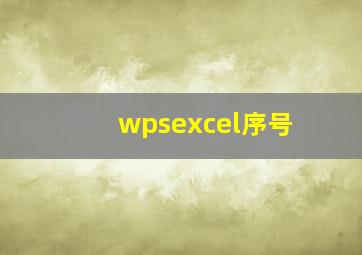 wpsexcel序号