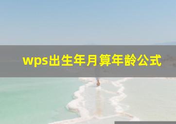 wps出生年月算年龄公式