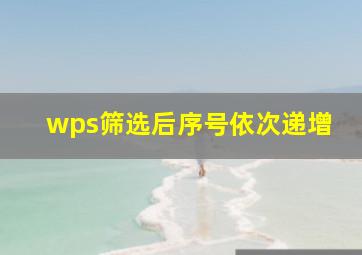 wps筛选后序号依次递增