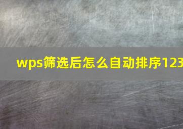 wps筛选后怎么自动排序123