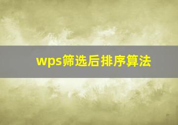 wps筛选后排序算法