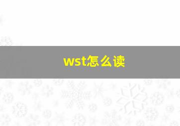 wst怎么读