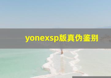 yonexsp版真伪鉴别