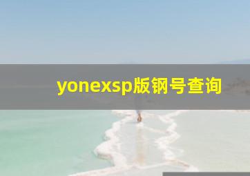 yonexsp版钢号查询