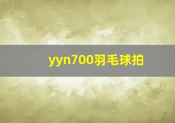 yyn700羽毛球拍