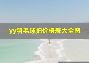 yy羽毛球拍价格表大全图