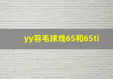 yy羽毛球线65和65ti