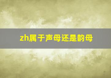 zh属于声母还是韵母