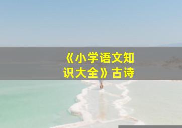 《小学语文知识大全》古诗