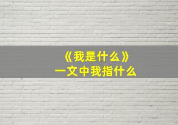 《我是什么》一文中我指什么