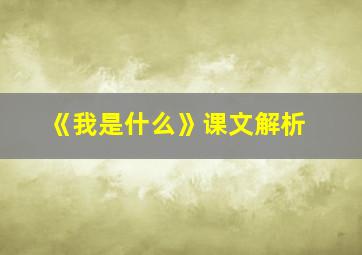 《我是什么》课文解析