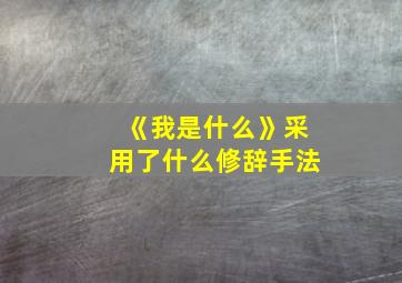 《我是什么》采用了什么修辞手法