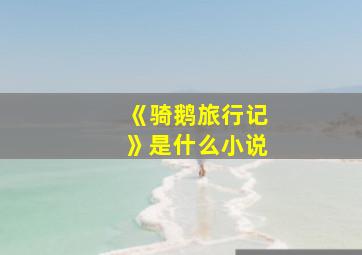 《骑鹅旅行记》是什么小说