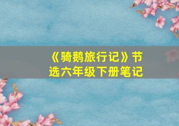 《骑鹅旅行记》节选六年级下册笔记