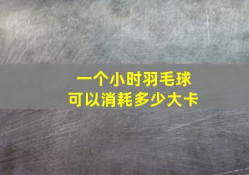 一个小时羽毛球可以消耗多少大卡