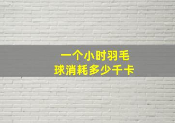 一个小时羽毛球消耗多少千卡