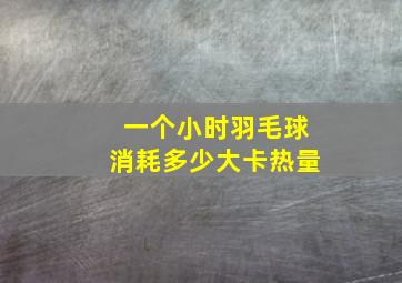 一个小时羽毛球消耗多少大卡热量