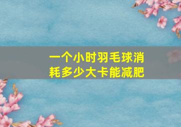 一个小时羽毛球消耗多少大卡能减肥