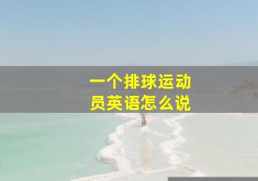 一个排球运动员英语怎么说