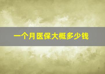 一个月医保大概多少钱