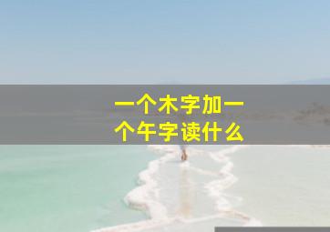 一个木字加一个午字读什么