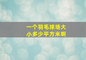 一个羽毛球场大小多少平方米啊