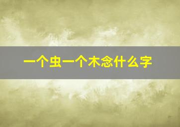 一个虫一个木念什么字