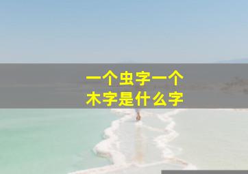 一个虫字一个木字是什么字