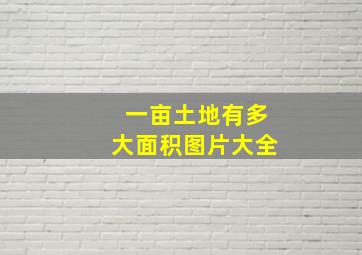 一亩土地有多大面积图片大全