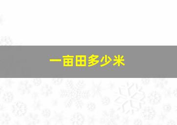 一亩田多少米