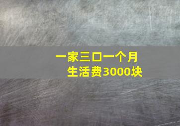 一家三口一个月生活费3000块