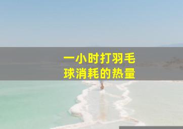 一小时打羽毛球消耗的热量