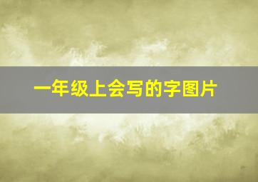 一年级上会写的字图片