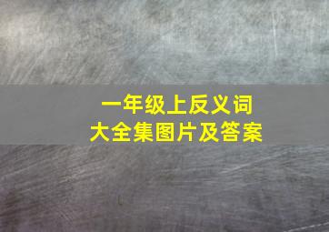 一年级上反义词大全集图片及答案