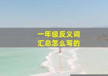 一年级反义词汇总怎么写的