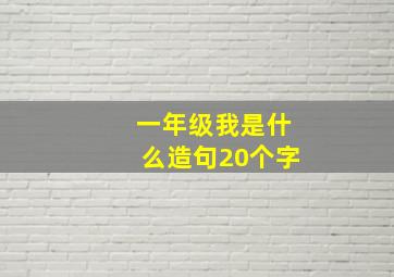 一年级我是什么造句20个字