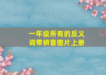 一年级所有的反义词带拼音图片上册