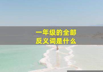 一年级的全部反义词是什么