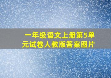 一年级语文上册第5单元试卷人教版答案图片