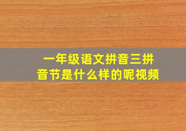 一年级语文拼音三拼音节是什么样的呢视频