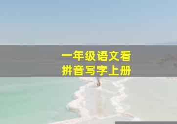 一年级语文看拼音写字上册