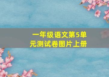 一年级语文第5单元测试卷图片上册