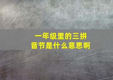 一年级里的三拼音节是什么意思啊