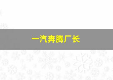 一汽奔腾厂长