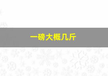 一磅大概几斤